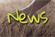 Siedlerverein Molln, im Bezirk Kirchdorf in Oberösterreich! News